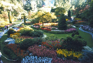 Butchart Gardens